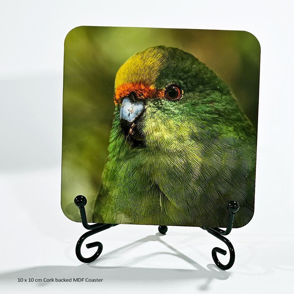 Exciting new products are coming to my website. Very soon now you will be able to purchase a either cork-backed or glass (with silicon feet) drink coasters featuring birds from this website.